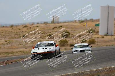 media/May-03-2025-Lucky Dog Racing (Sat) [[206de64b9d]]/Turn 6 (150pm-230pm)/